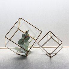 画像5: 【FARM】CUBE 10　93080　テラリウム　キューブ　10cm ガラス　Terrarium 　 (5)