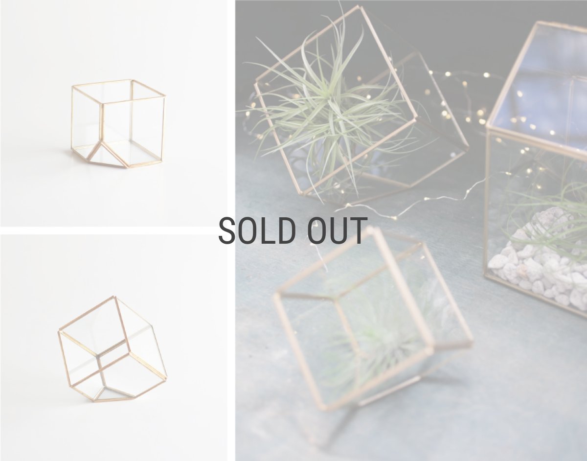 画像4: 【FARM】CUBE 10　93080　テラリウム　キューブ　10cm ガラス　Terrarium 　 (4)