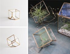 画像4: 【FARM】CUBE 10　93080　テラリウム　キューブ　10cm ガラス　Terrarium 　 (4)