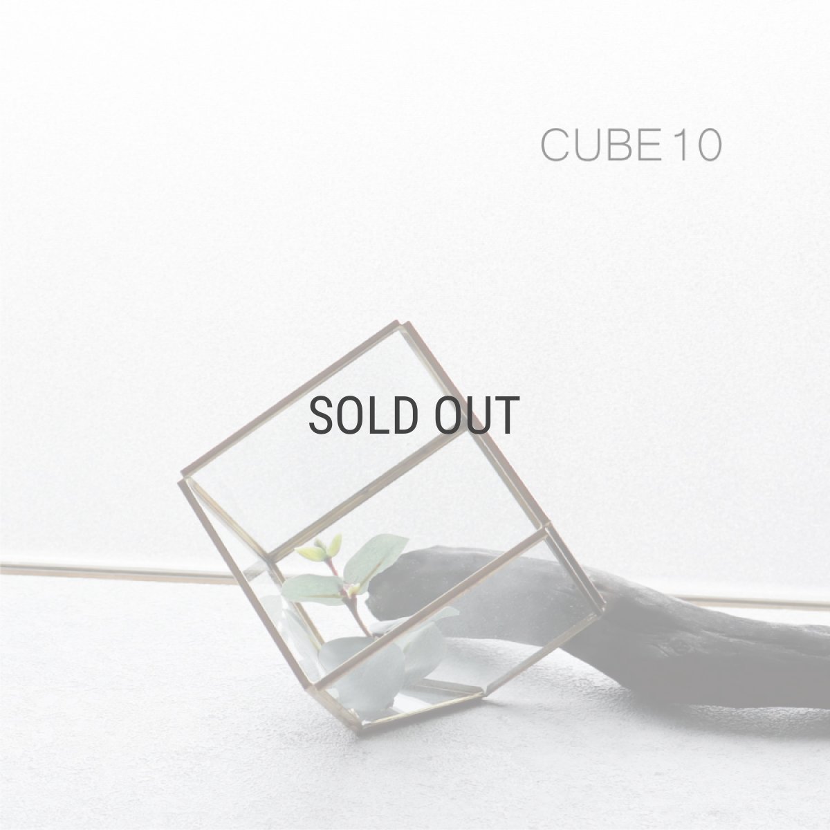 画像1: 【FARM】CUBE 10　93080　テラリウム　キューブ　10cm ガラス　Terrarium 　 (1)