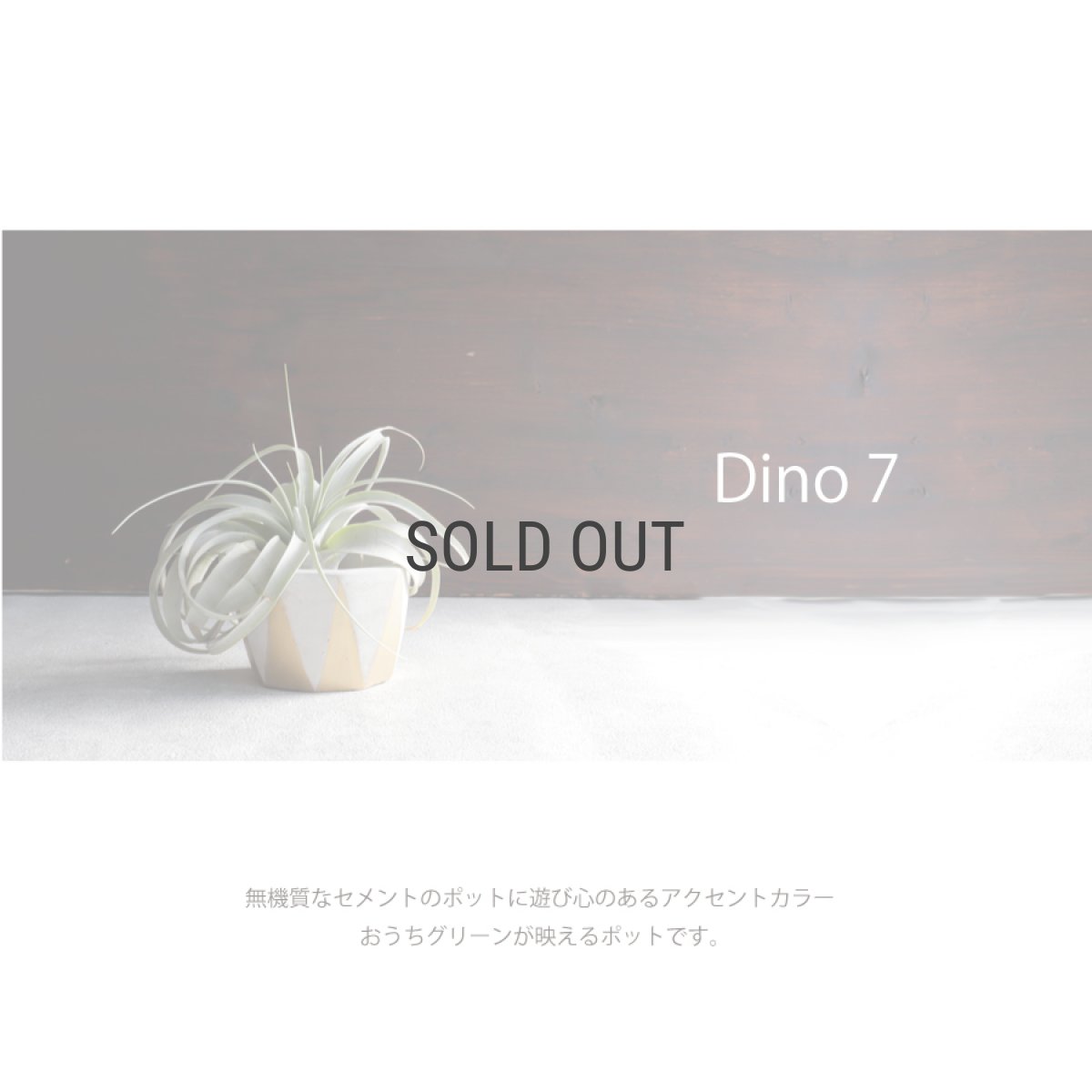 画像2: 【FARM】Dino 7 ディノ７　セメント　鉢カバー　 ホワイト　White (2)
