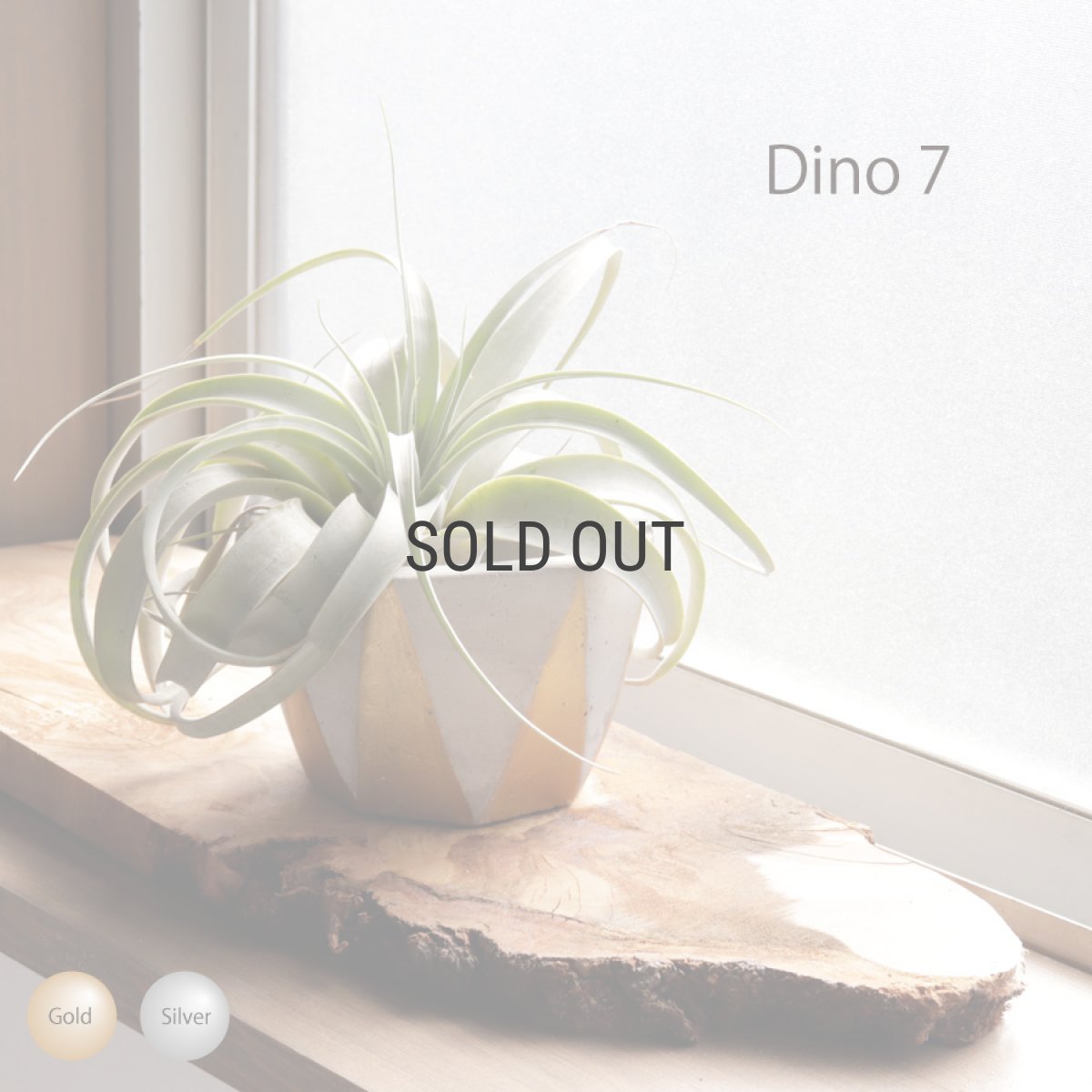 画像1: 【FARM】Dino 7 ディノ７　セメント　鉢カバー　ゴールド　シルバー　Gold Silver (1)