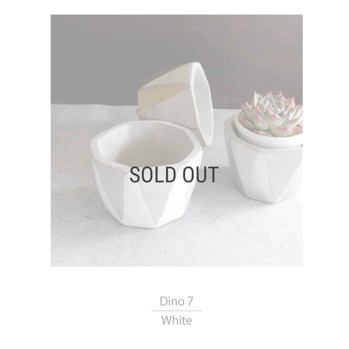 画像3: 【FARM】Dino 7 ディノ７　セメント　鉢カバー　 ホワイト　White (3)