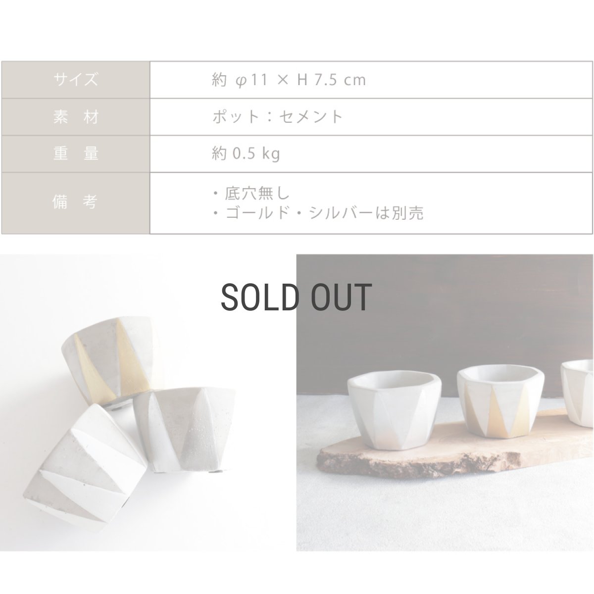 画像5: 【FARM】Dino 7 ディノ７　セメント　鉢カバー　 ホワイト　White (5)