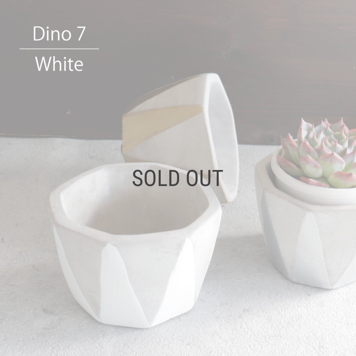 画像1: 【FARM】Dino 7 ディノ７　セメント　鉢カバー　 ホワイト　White (1)