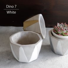 画像1: 【FARM】Dino 7 ディノ７　セメント　鉢カバー　 ホワイト　White (1)