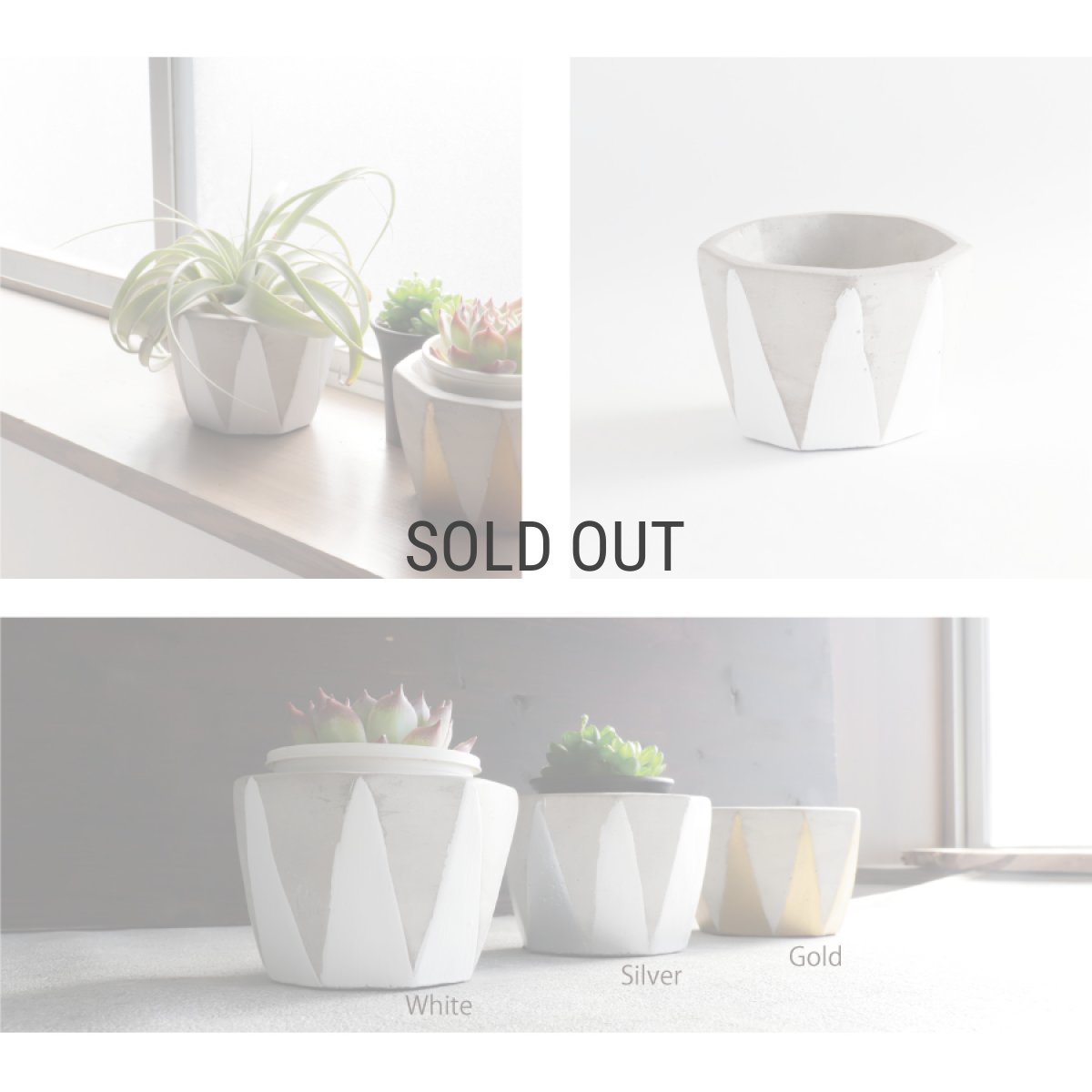 画像4: 【FARM】Dino 7 ディノ７　セメント　鉢カバー　 ホワイト　White (4)