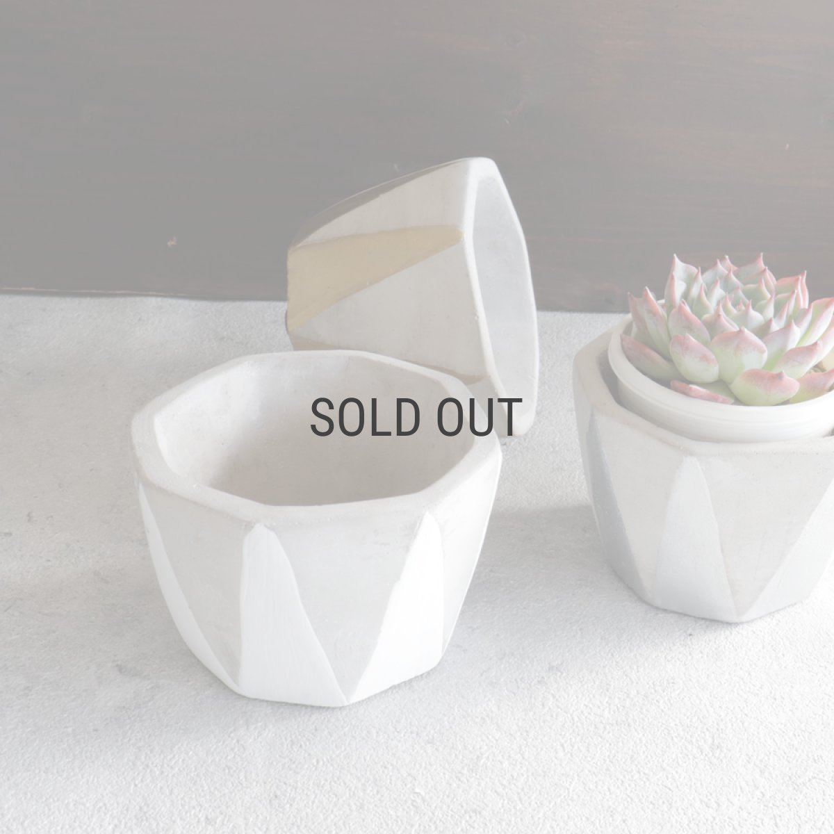 画像8: 【FARM】Dino 7 ディノ７　セメント　鉢カバー　 ホワイト　White (8)