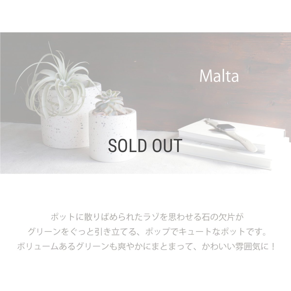 画像2: 【FARM】Malta 11　マルタ　 鉢カバー　ペブル　植木鉢　φ11x11 (2)