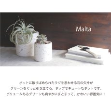 画像2: 【FARM】Malta 11　マルタ　 鉢カバー　ペブル　植木鉢　φ11x11 (2)