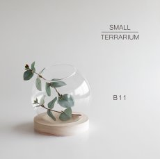 画像1: 【FARM】スモールテラリウム B11　93144　テラリウム　11cm ガラス　木　ウッド　Small Terrarium 　  (1)