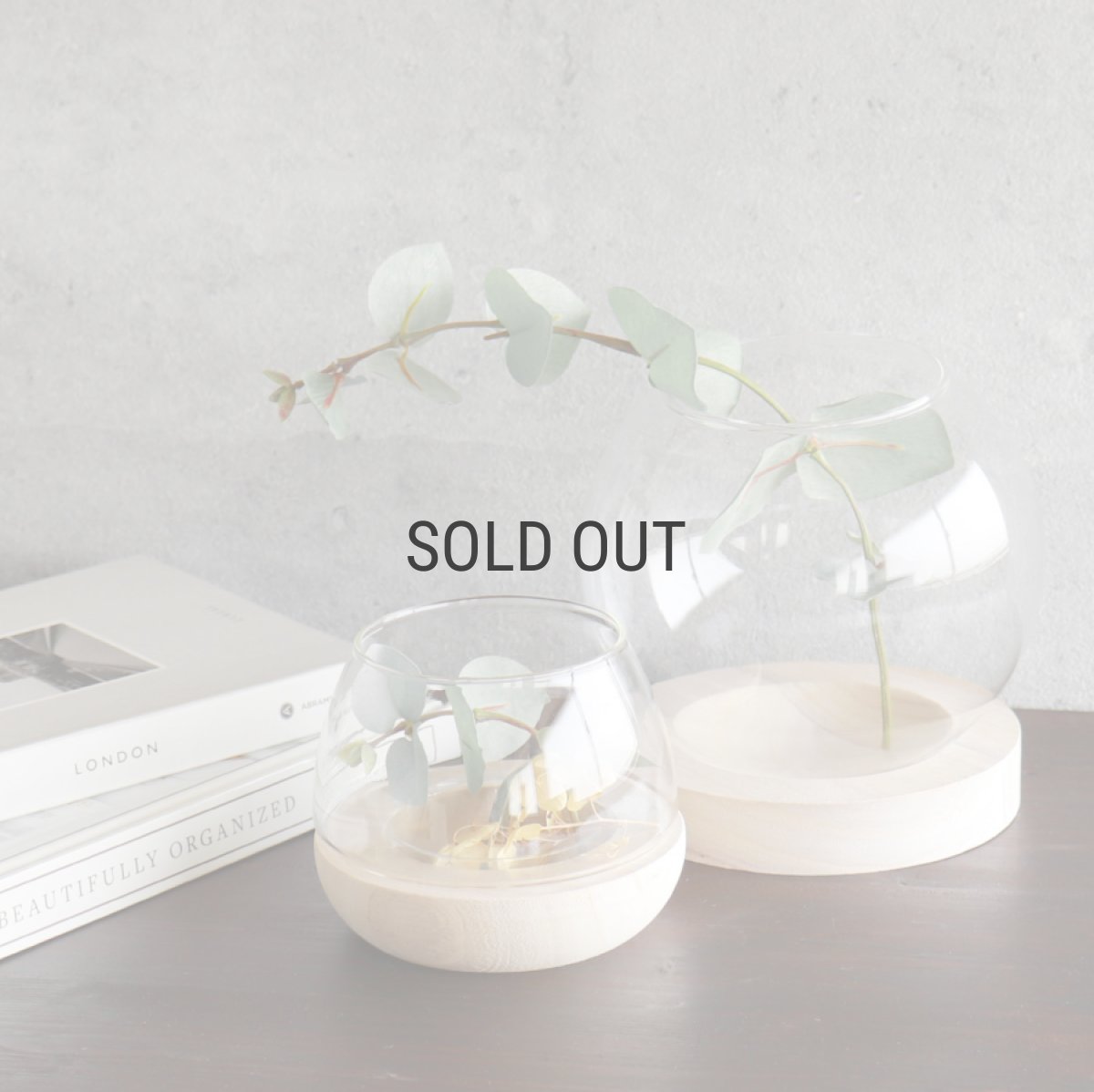 画像3: 【FARM】スモールテラリウム B15　93145　テラリウム　15cm ガラス　木　ウッド　Small Terrarium 　 (3)