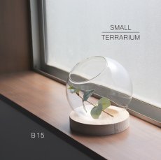 画像1: 【FARM】スモールテラリウム B15　93145　テラリウム　15cm ガラス　木　ウッド　Small Terrarium 　 (1)