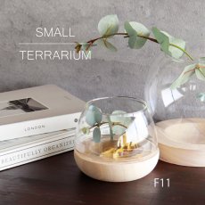 画像1: 【FARM】スモールテラリウム F11　93146　テラリウム　11cm ガラス　木　ウッド　Small Terrarium 　  (1)