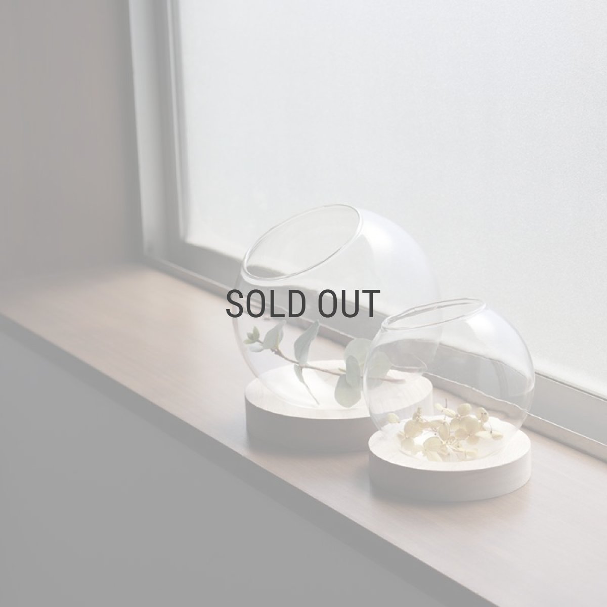 画像4: 【FARM】スモールテラリウム B15　93145　テラリウム　15cm ガラス　木　ウッド　Small Terrarium 　 (4)