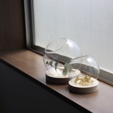 画像4: 【FARM】スモールテラリウム B15　93145　テラリウム　15cm ガラス　木　ウッド　Small Terrarium 　 (4)