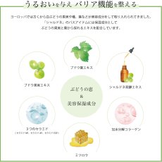 画像3: 【Chardonnay】シャルドネ　オイルイン　ボディミルク　240ml 天然由来成分　ぶどうエキス　オーガニックオイル　国産　 (3)