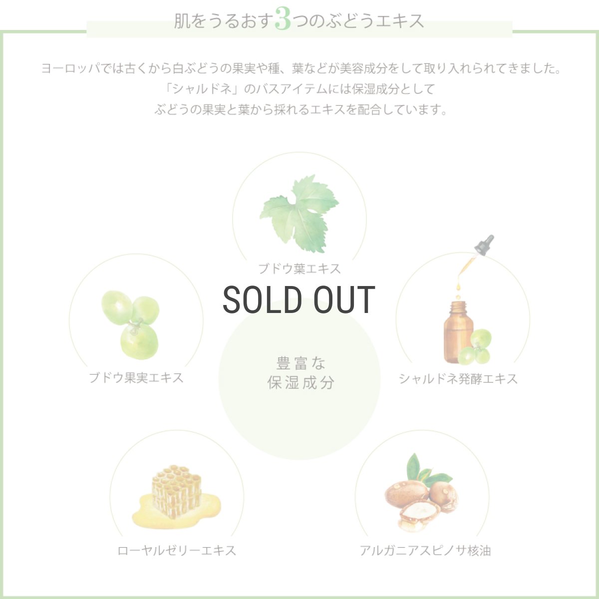 画像3: 【Chardonnay】シャルドネ　にごりバスソルト 50gx5袋入りBOX　国産　ゲランド塩　スパークリング (3)