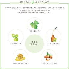 画像3: 【Chardonnay】シャルドネ　にごりバスソルト 50g　国産　ゲランド塩　スパークリング (3)