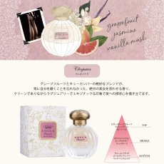 画像3: 【TOCCA】オードパルファム 50ml  香水 シモネ Simone クレオパトラ Cleopatra ジュリエッタ Giulietta コレット Colette 　トッカ (3)