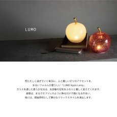 画像2: 【 LUMO 】 Apple Lamp　アップルランプ　ガラス製（ホワイト・レッド）コードレス 電池式 (2)