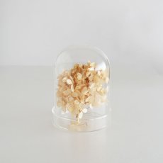 画像2: 【The Joy Luck Club】ディスプレイ　グラス　ドーム　ガラスのインテリア　H140mm (2)