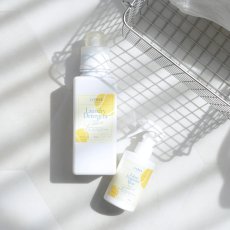 画像9: 【洗濯ブラザーズ】洗濯洗剤　600ml  Sports Lemon （夏季限定）ランドリーディタージェント（綿・麻・合成繊維用）スポーツ　LIVRER YOKOHAMA　ランドリーソープ (9)