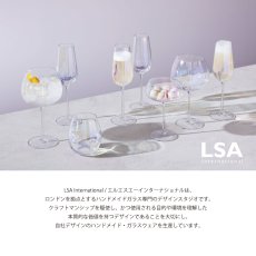 画像2: 【LSA】PEARL  ワイングラス　460ml 　4個セット　吹きガラス　 PEARL  Red Wine Glass x 4　Mother of Pearl  箱入り ハンドメイド ポーランド製 (2)