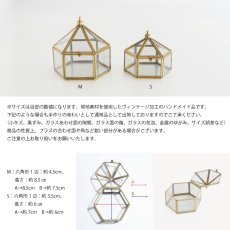 画像6: 【MALAIKA】サーカステント　ガラスケース　インテリアに　小物入れ　（S・M）　インド製　アンティーク調 (6)