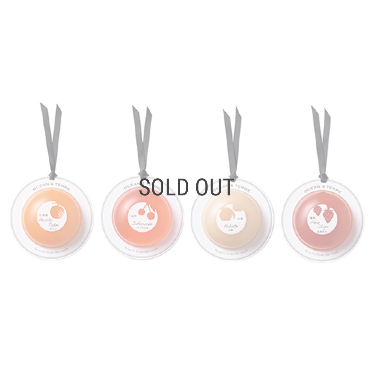 画像6: 【 OCEAN＆TERRE 】フルーツジュース＆ ゼリーセットD　(ジュース2本・ゼリー４個） ギフト　夏のご挨拶に！お土産に！ (6)