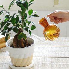 画像1: 【SPICE】ガラスジョーロ アンバー 300ml (1)