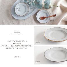 画像4: 【Saveur】サヴールN　ミニプレート　φ11cm　ゴールド　シルバー　ライン　 丸皿 　日本製 サブール (4)
