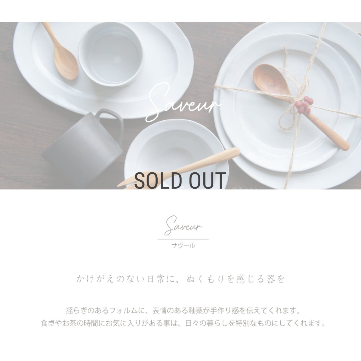 画像2: 【Saveur】サヴールN　オーバルボウル24　ゴールド　シルバー　ライン　金巻き　日本製　サブール (2)