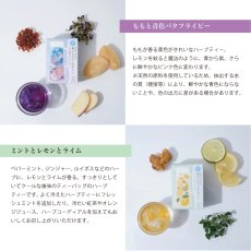 画像4: 【生活の木】水出しできる　おいしいハーブティー　6ティーバッグ　ノンカフェイン　箱入り 　ドイツ製 (4)