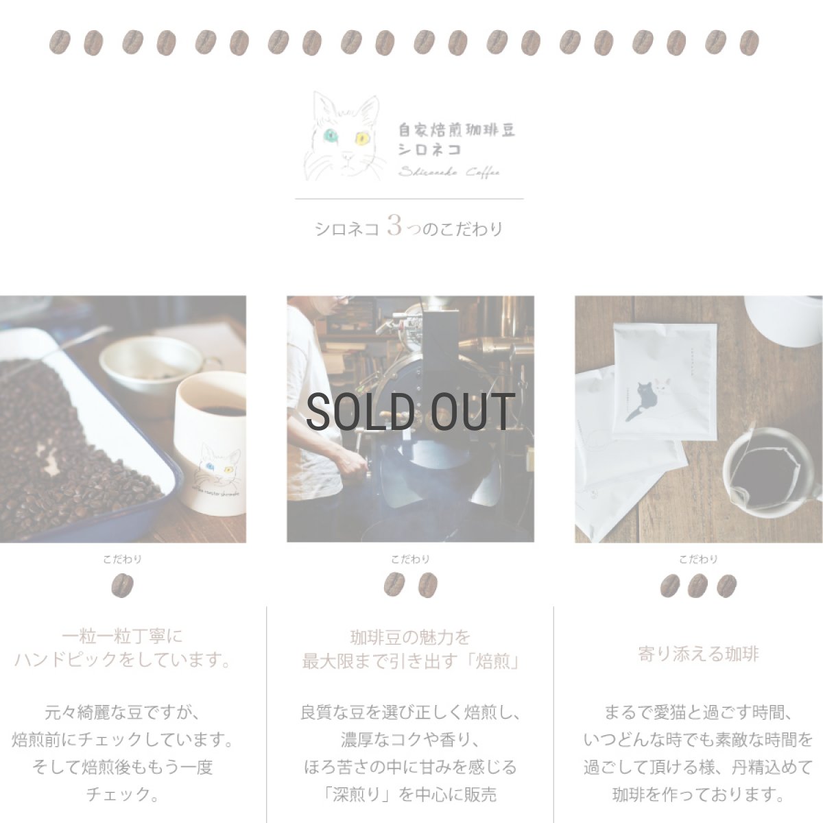 画像4: 【自家焙煎珈琲豆シロネコ】ドリップバッグ　コーヒー 10袋セット　シロネコブレンド　10g 　深煎りコーヒー (4)