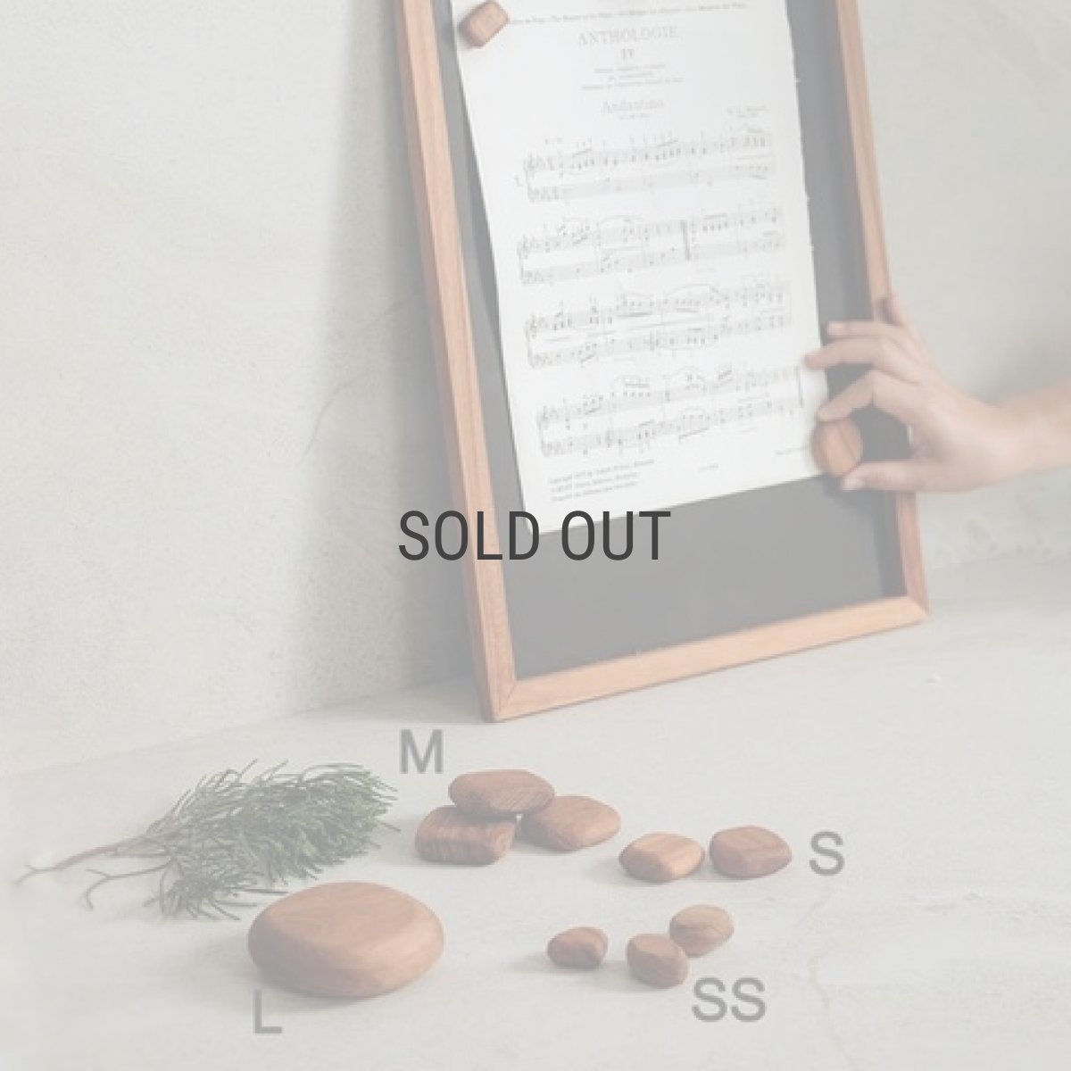 画像5: 【TEAK WOOD】マグネット 石ころ L　セット売り　磁石 (5)