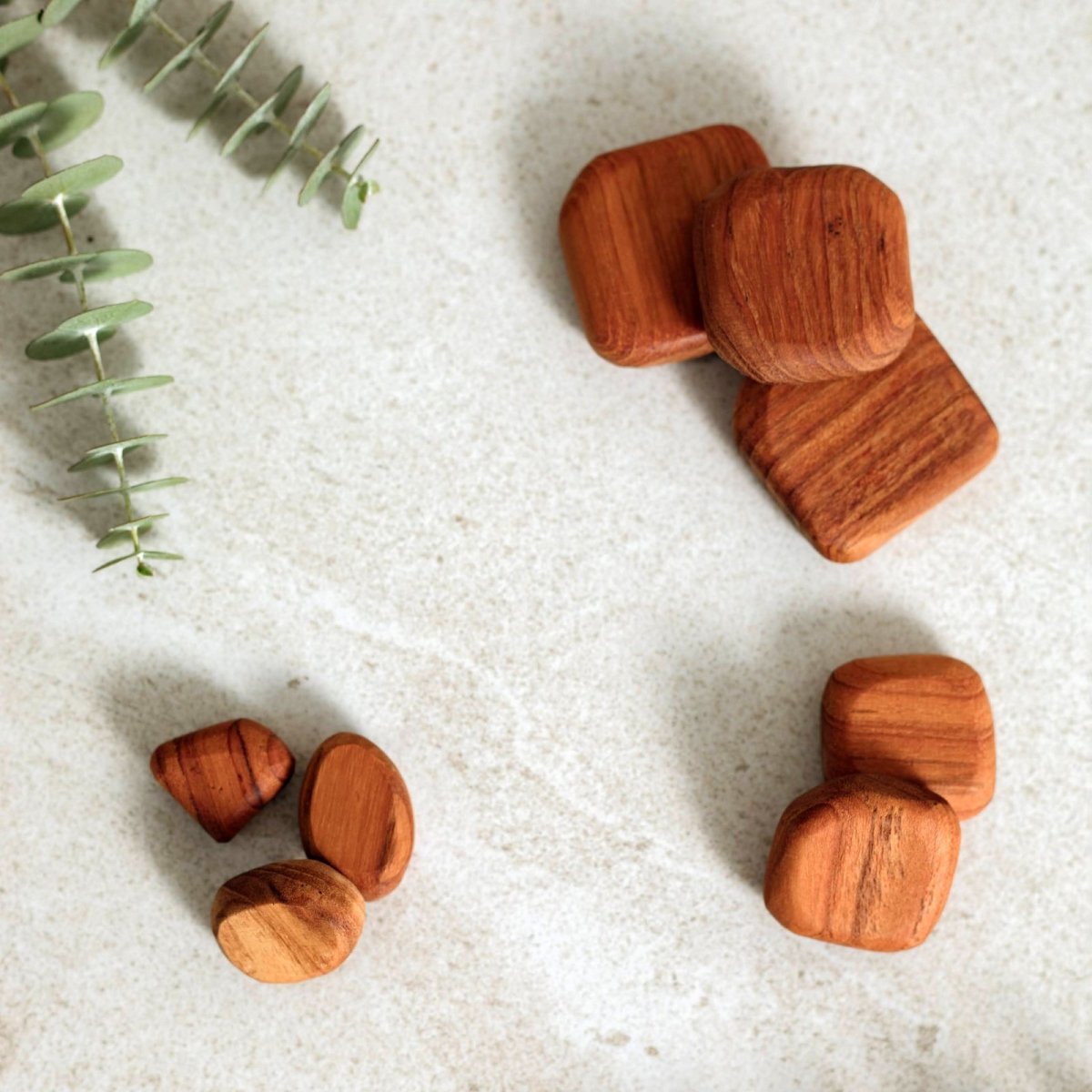 画像6: 【TEAK WOOD】マグネット 石ころ SS　セット売り　磁石 (6)