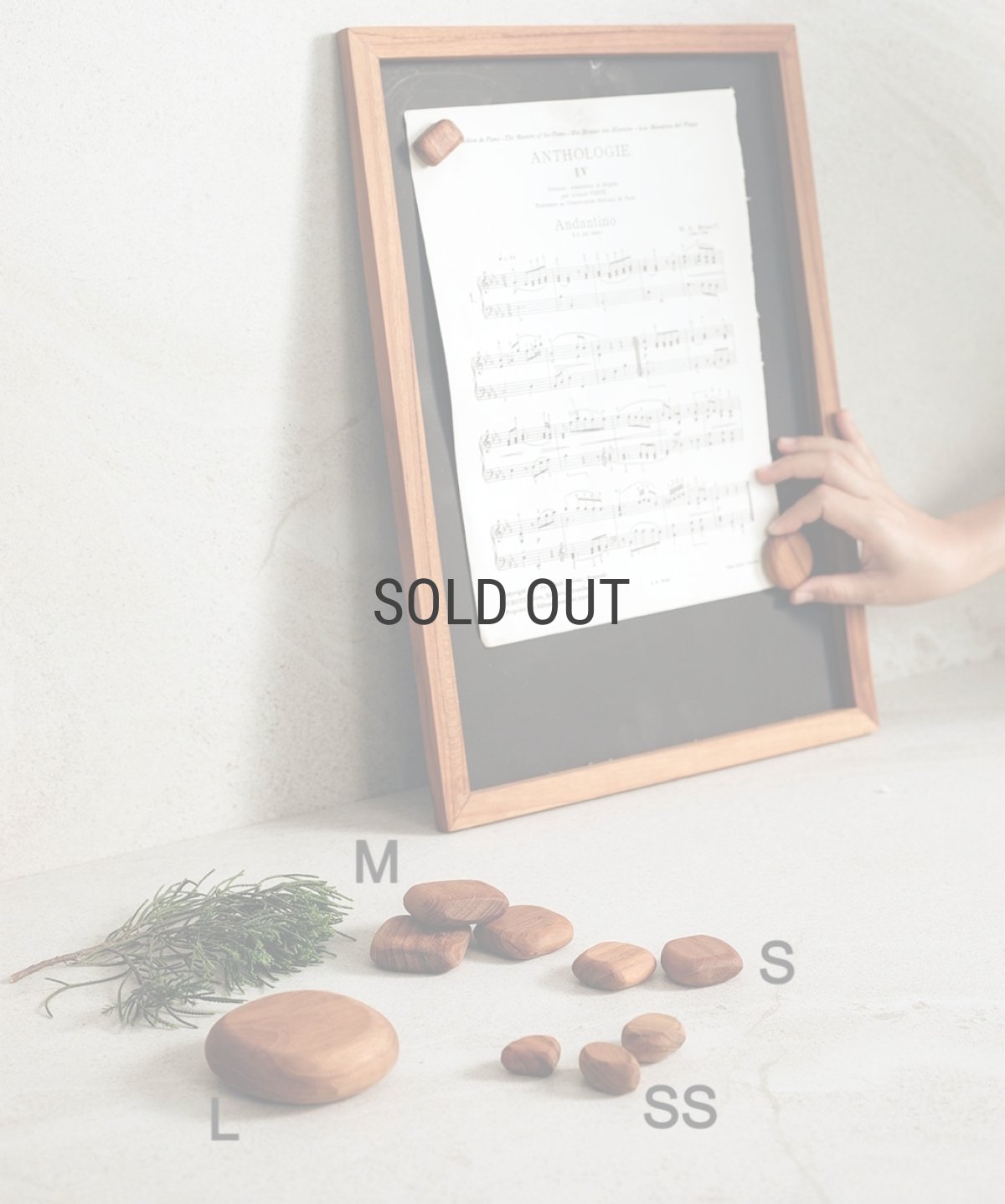 画像6: 【TEAK WOOD】マグネット 石ころ M　セット売り　磁石 (6)