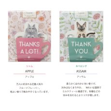 画像4: 【KISSA】ティーバッグ　紅茶　2.5g x 3　ダージリン　アールグレイ　アップル　アッサム　日本製　癒しのギフト (4)