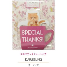 画像6: 【KISSA】ティーバッグ　紅茶　2.5g x 3　ダージリン　アールグレイ　アップル　アッサム　日本製　癒しのギフト (6)