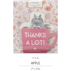 画像8: 【KISSA】ティーバッグ　紅茶　2.5g x 3　ダージリン　アールグレイ　アップル　アッサム　日本製　癒しのギフト (8)