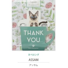 画像9: 【KISSA】ティーバッグ　紅茶　2.5g x 3　ダージリン　アールグレイ　アップル　アッサム　日本製　癒しのギフト (9)