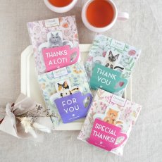 画像1: 【KISSA】ティーバッグ　紅茶　2.5g x 3　ダージリン　アールグレイ　アップル　アッサム　日本製　癒しのギフト (1)
