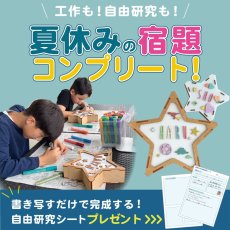 画像3: 【VINTIUN】ビンティウン　ミニスターライト　木製星型ライト 　カスタマイズ　オーナメント　スペイン製 (3)