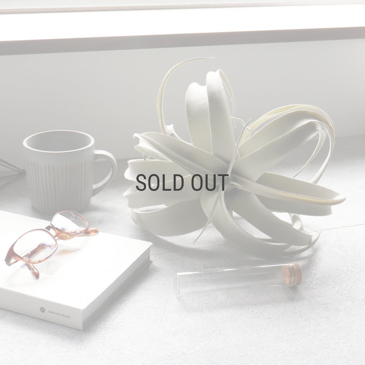 画像1: 【 asca 】キセログラフィカ　エアプランツ　造花　フェイクフラワー　アーティフィシャルフラワー　アスカ (1)