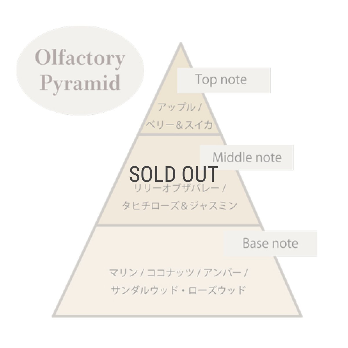 画像3: 【ロタンティック】ブーケ　ドゥ　リリ　フレグランスディフューザー　200ml　フレグランスブーケ　Le bouquet de lili Lothantique (3)