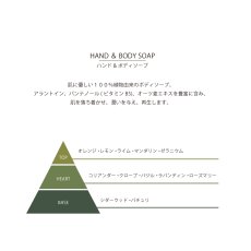 画像3: 【Scottish Fine Soaps】naturals　ナチュラルズ　ハンド＆ボディソープ　300ml　コリアンダー＆ライムリーフ　スコティッシュファインソープ 　スコットランド製 (3)