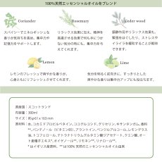 画像4: 【Scottish Fine Soaps】naturals　ナチュラルズ　ハンド＆ボディソープ　300ml　コリアンダー＆ライムリーフ　スコティッシュファインソープ 　スコットランド製 (4)
