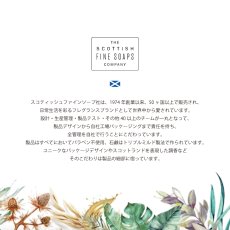 画像5: 【Scottish Fine Soaps】naturals　ナチュラルズ　ハンドクリーム　30ml　コリアンダー＆ライムリーフ　スコティッシュファインソープ (5)