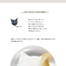 画像7: 【coconeco 】ここねこ  箸置き　ガラス　猫　ネコ好き　白　黒　茶　ブチ黒　ブチ茶　アデリア 日本製 (7)